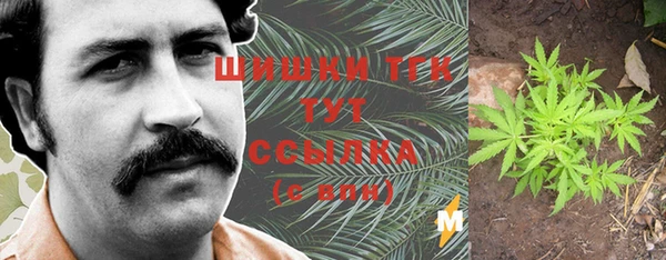 меф Долгопрудный