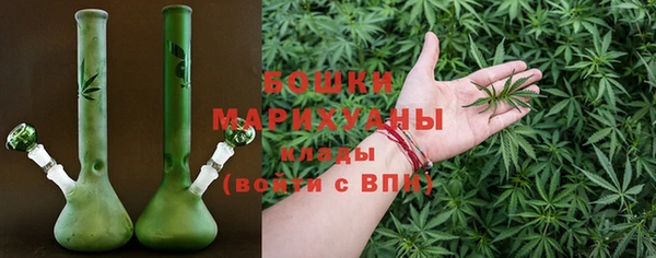 дживик Майский
