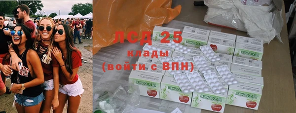 дживик Майский
