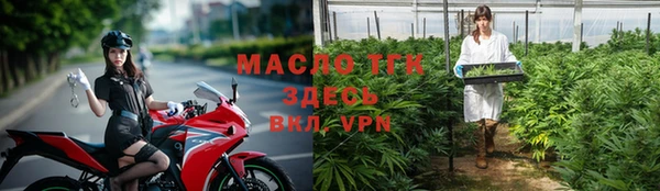 дживик Майский